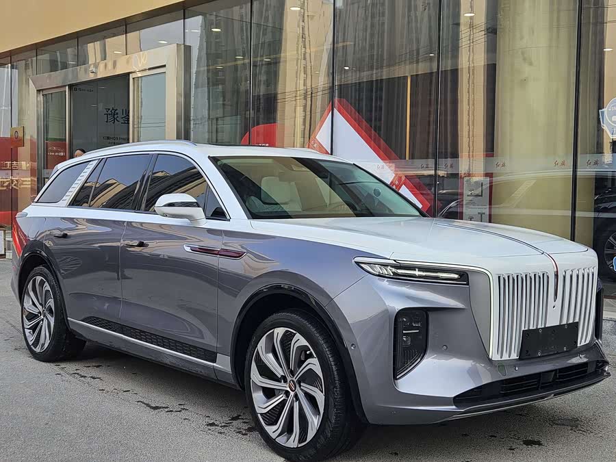 HongQi E-HS9 2021 صورة سيارة #4
