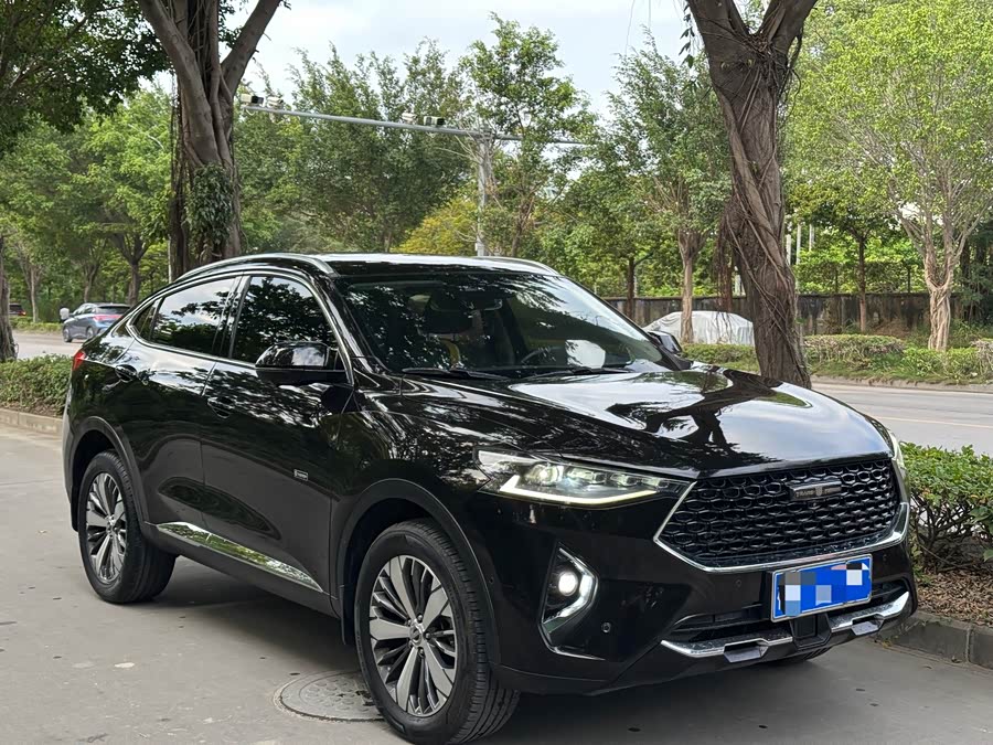 Haval F7x 2019 #4 Haval F7x 2019 car image #4