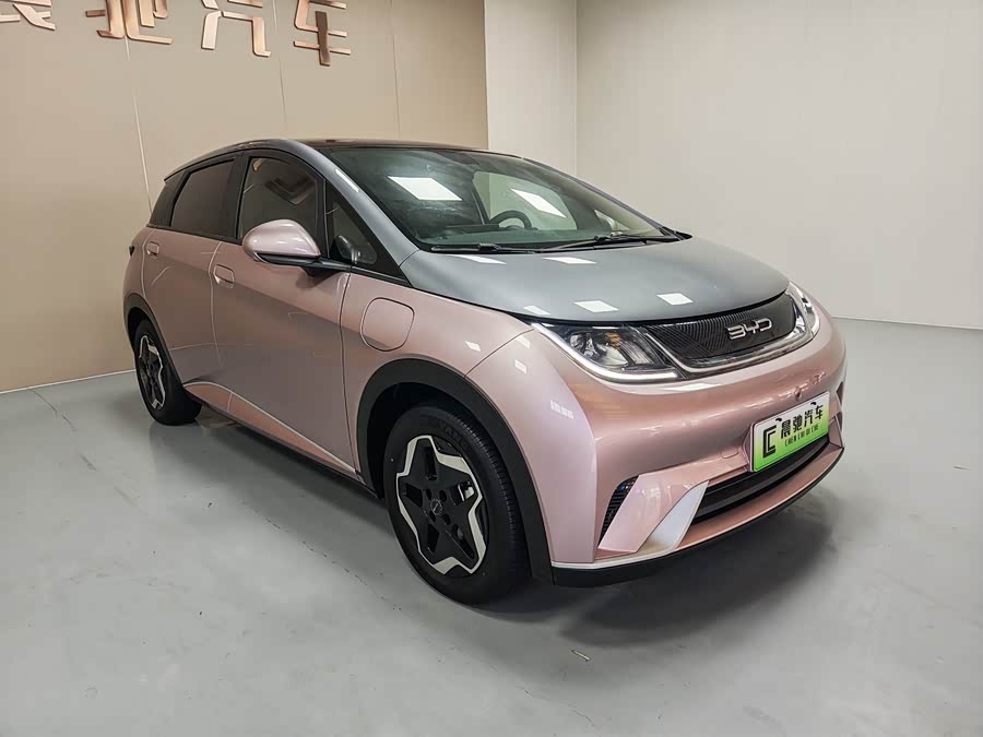 比亚迪 海豚 2022 汽车图片 #4