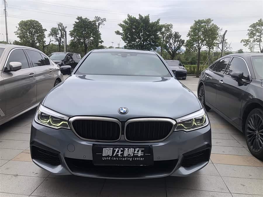 BMW 5 Series (Imported) 2020 #4 BMW 5 Series (Imported) 2020 car image #4