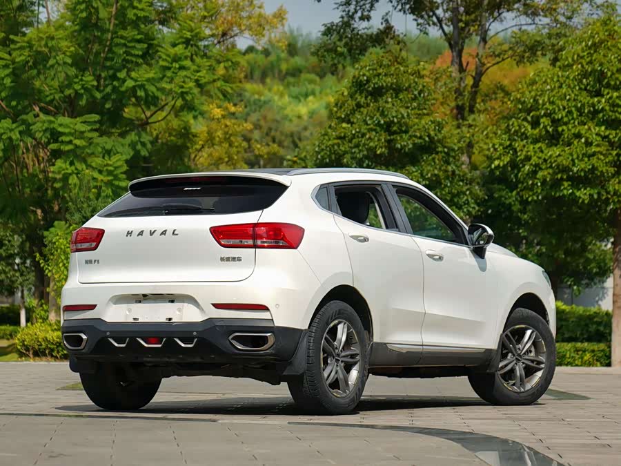 Haval F5 2018 car image #4