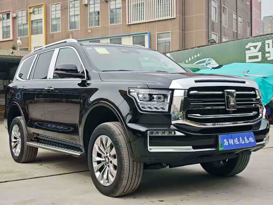 Tank 500 New Energy 2025 immagine di auto #4