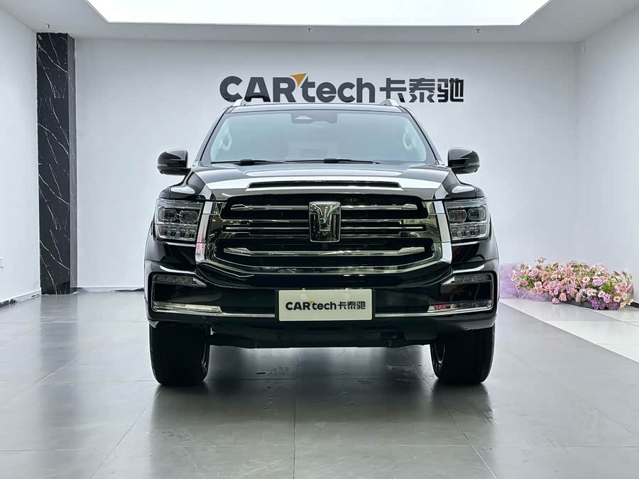 Tank 500 New Energy 2025 immagine di auto #4