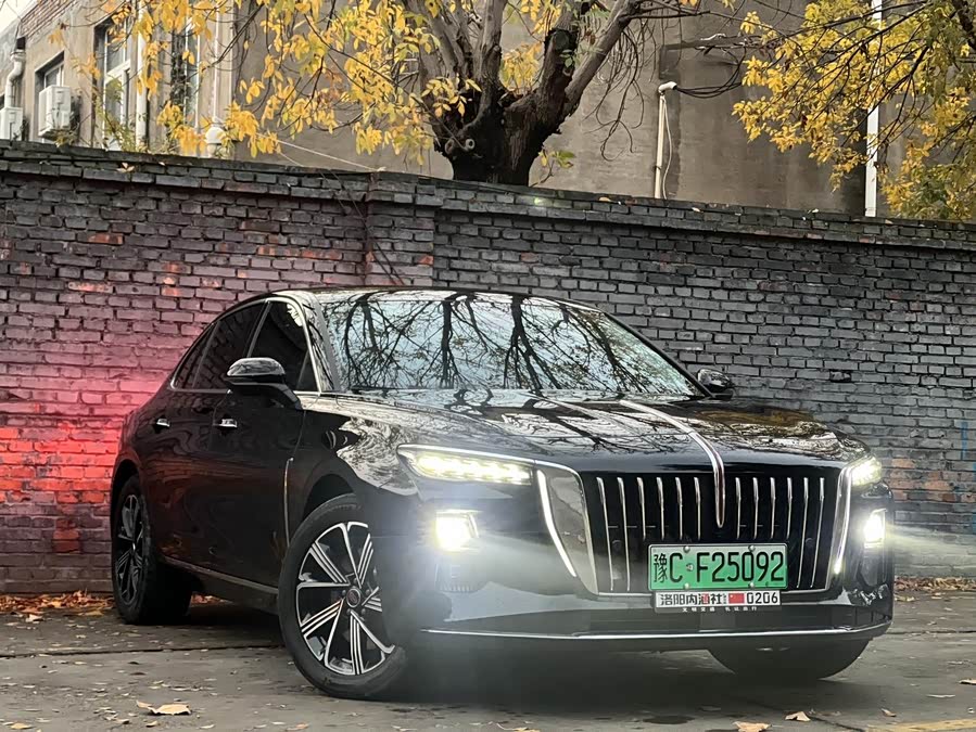 HongQi H5 PHEV 2025 #4 HongQi H5 PHEV 2025 immagine di auto #4