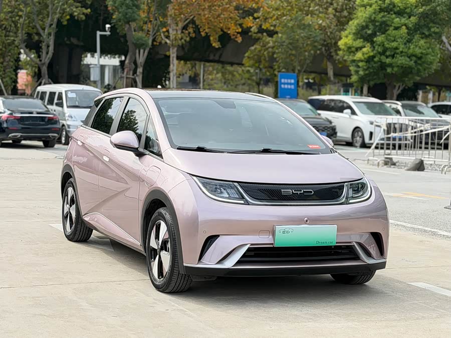 比亚迪 海豚 2023 汽车图片 #4