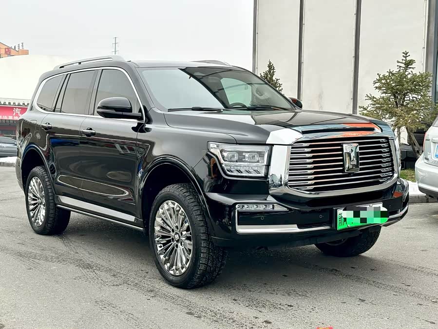 Tank 500 New Energy 2023 car image #4