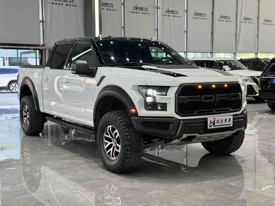Ford F-150 Raptor 2018 car image #4