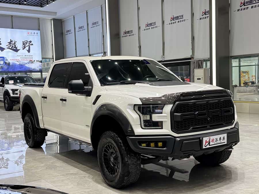 Ford F-150 Raptor 2016 car image #4