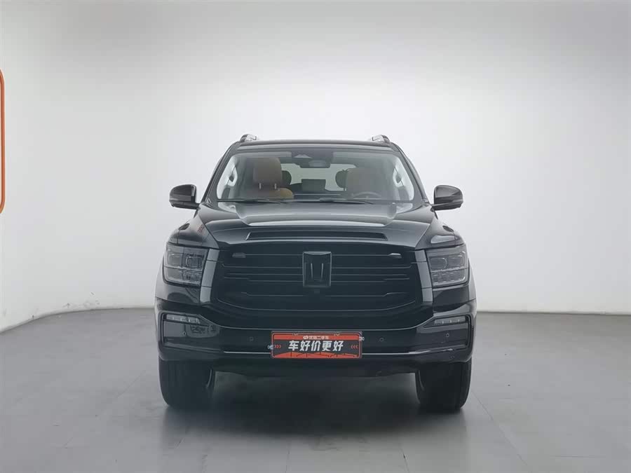 Tank 500 New Energy 2025 immagine di auto #4