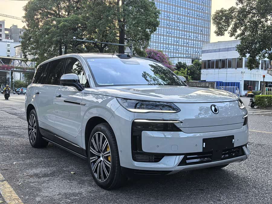 Denza N9 2025 immagine di auto #4