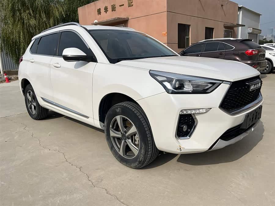 Haval H6 Coupe 2020 immagine di auto #4