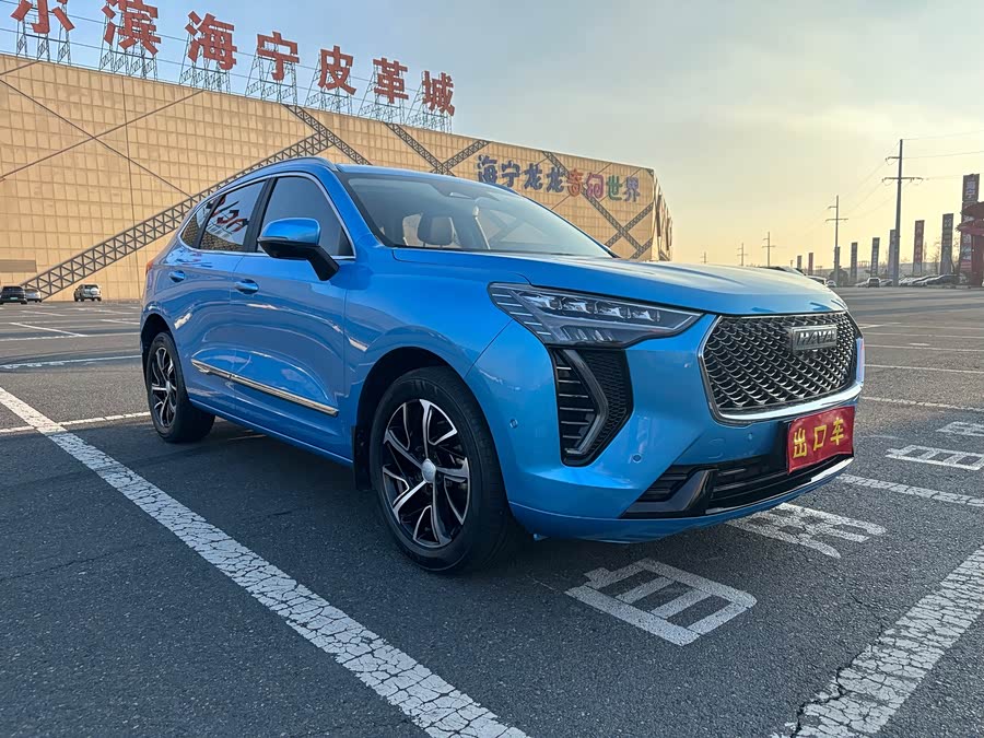 Haval Jolion 2021 immagine di auto #4