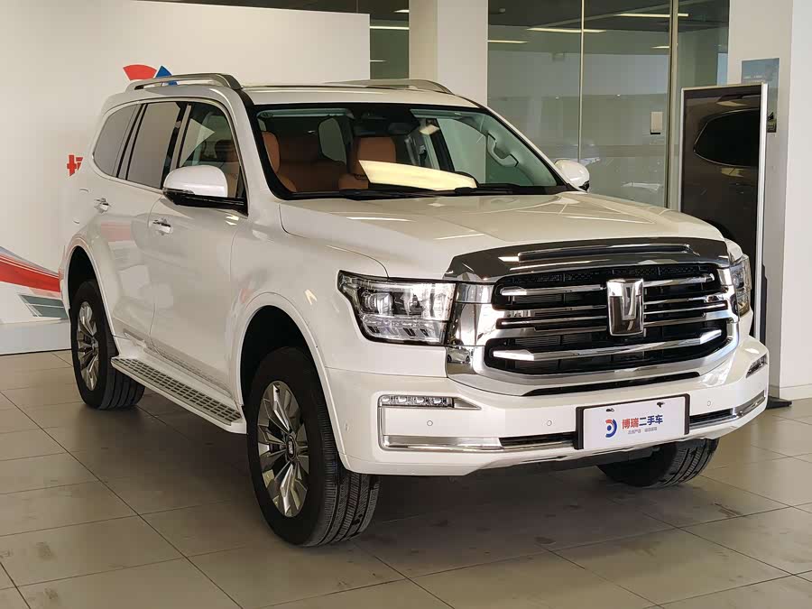 Tank 500 New Energy 2024 immagine di auto #4