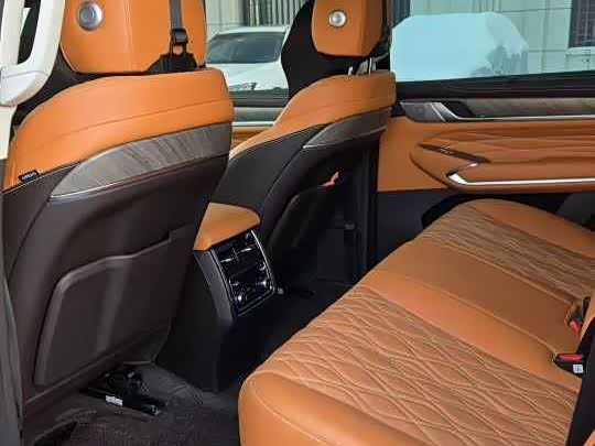 Tank 500 New Energy 2024 immagine di auto #4