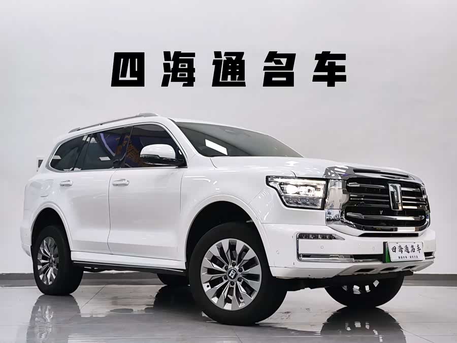 Tank 500 New Energy 2024 car image #4