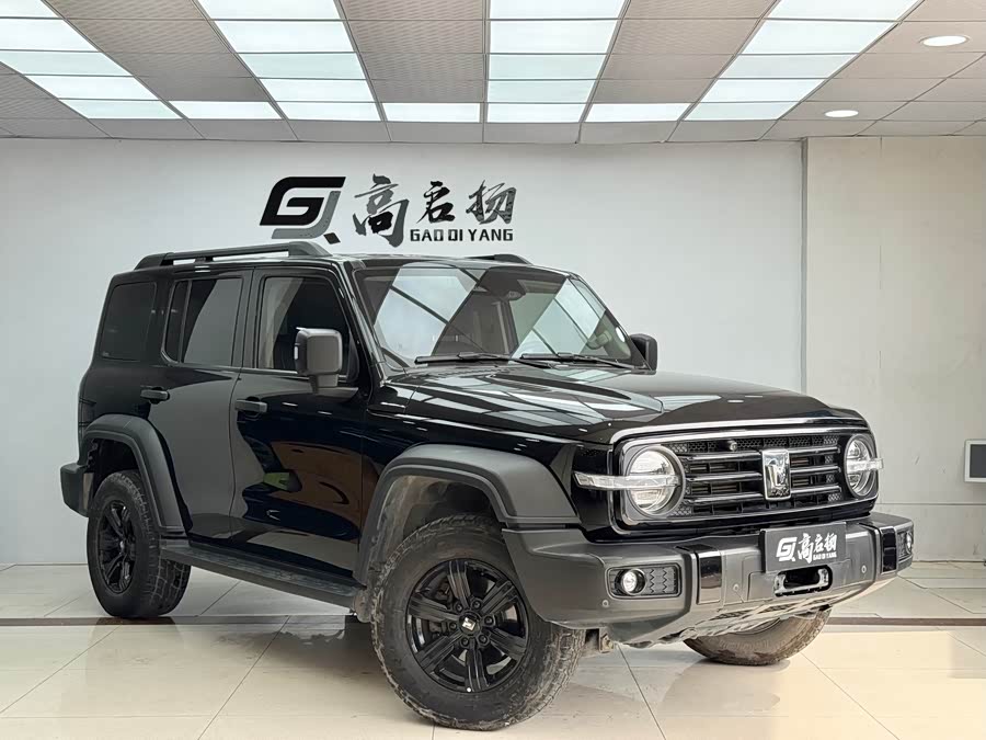 Tank 500 New Energy 2024 immagine di auto #4