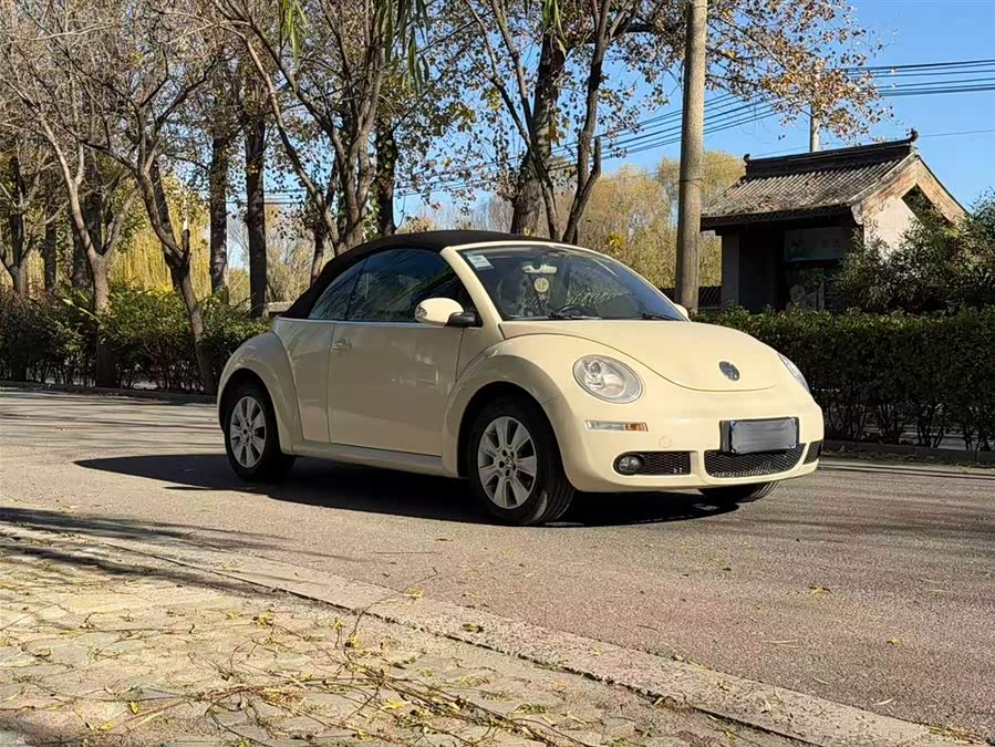 Volkswagen Beetle 2010 immagine di auto #4