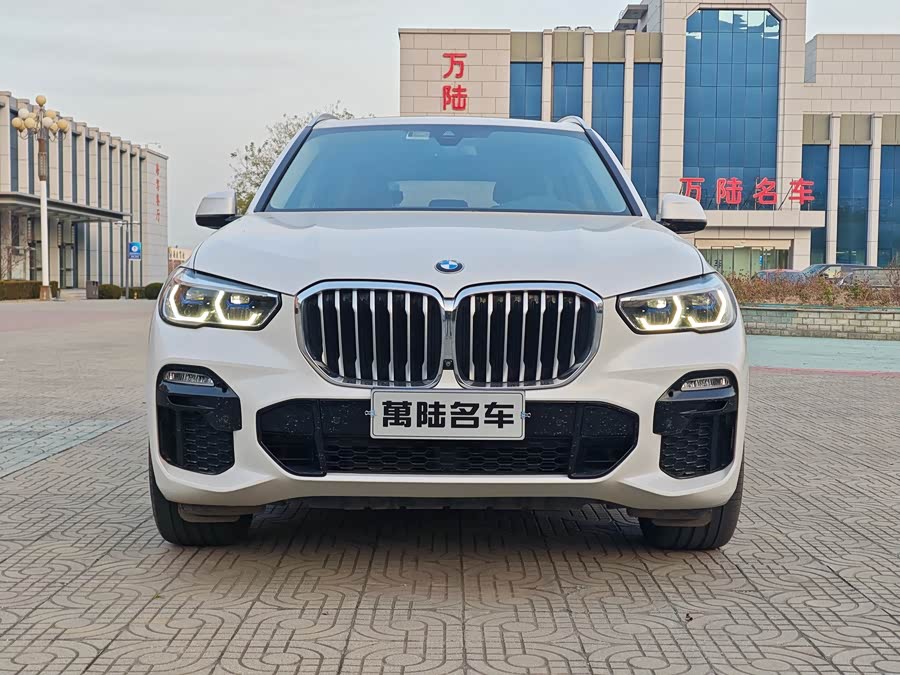 BMW X5 (Imported) 2019 #4 BMW X5 (Imported) 2019 car image #4