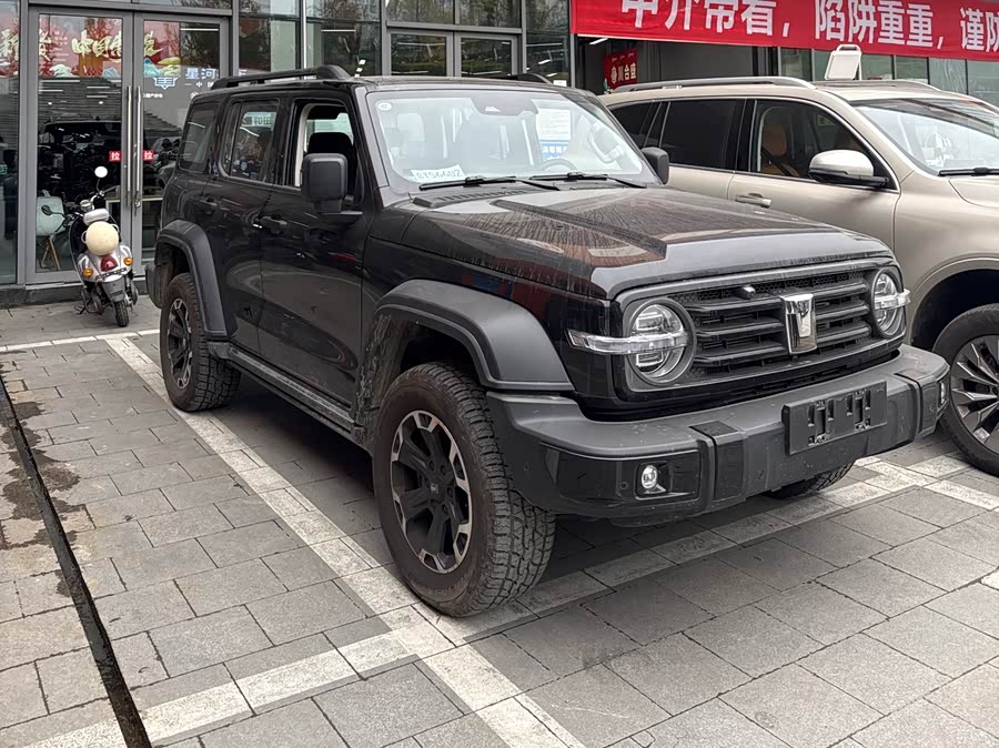 Tank 300 New Energy 2025 car image #4