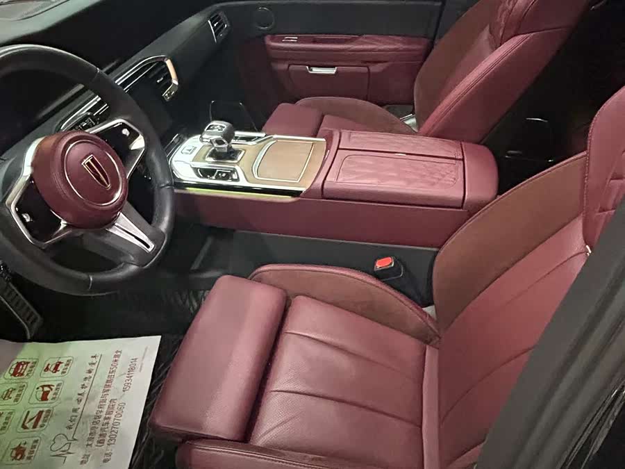 HongQi E-HS9 2023 image de voiture #4