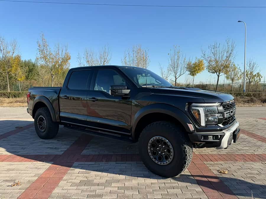 Ford F-150 Raptor 2024 car image #4