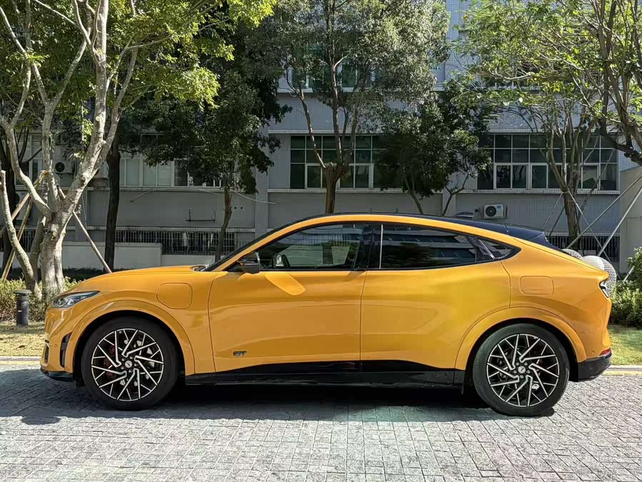 Ford Mustang Mach-E 2024 car image #4