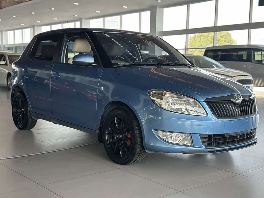 Skoda Fabia 2013 immagine di auto #4