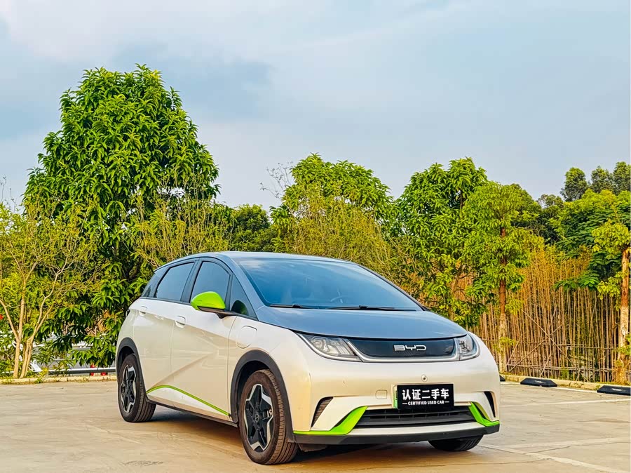 比亚迪 海豚 2022 汽车图片 #4