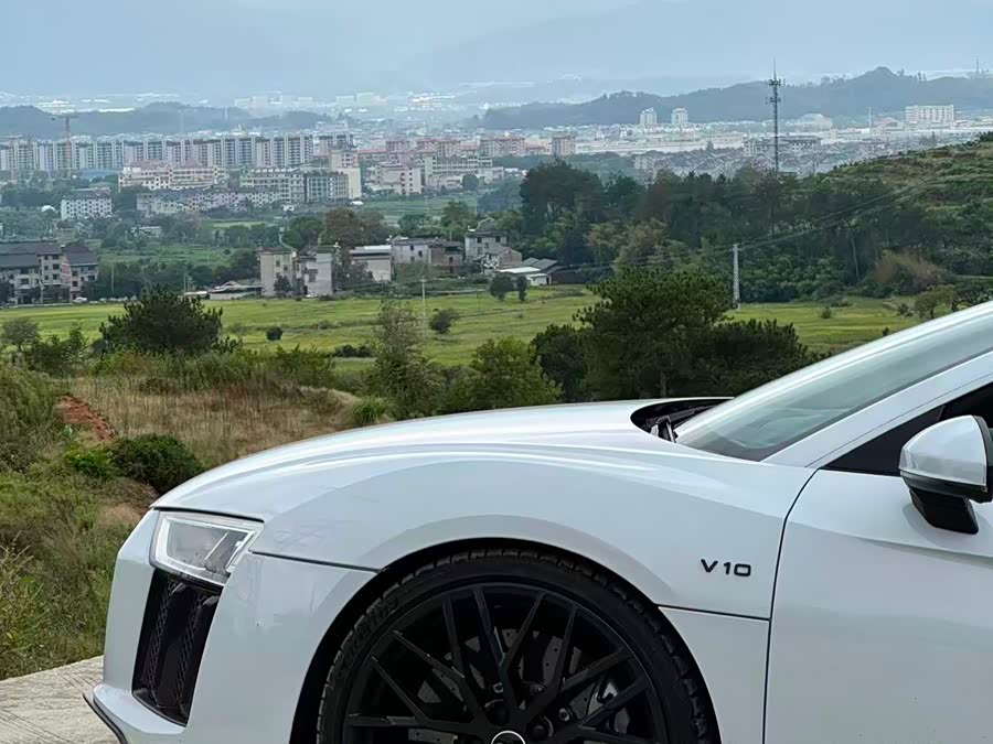 Audi R8 2017 #4 Audi R8 2017 immagine di auto #4