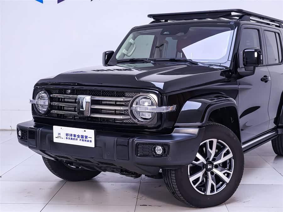 Tank 300 2024 car image #4