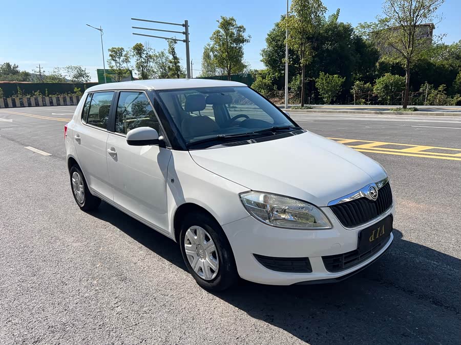 Skoda Fabia 2014 صورة سيارة #4