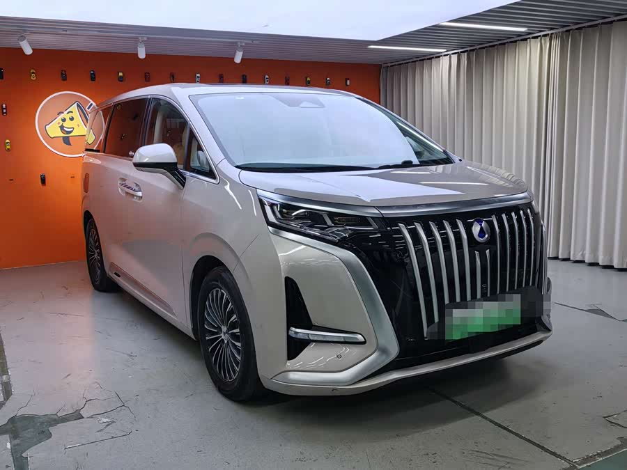 腾势 腾势D9 2023 汽车图片 #4