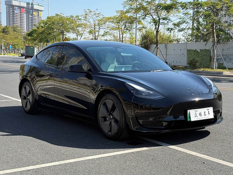 Tesla Model 3 2021 image de voiture #4