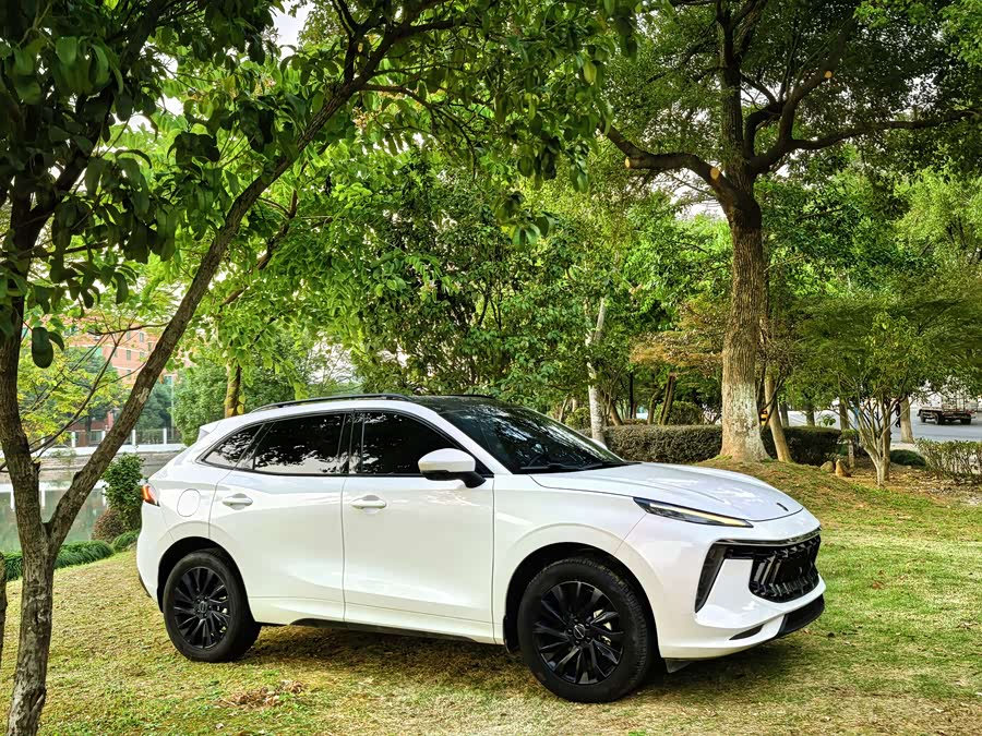 Forthing T5 EVO 2020 car image #4