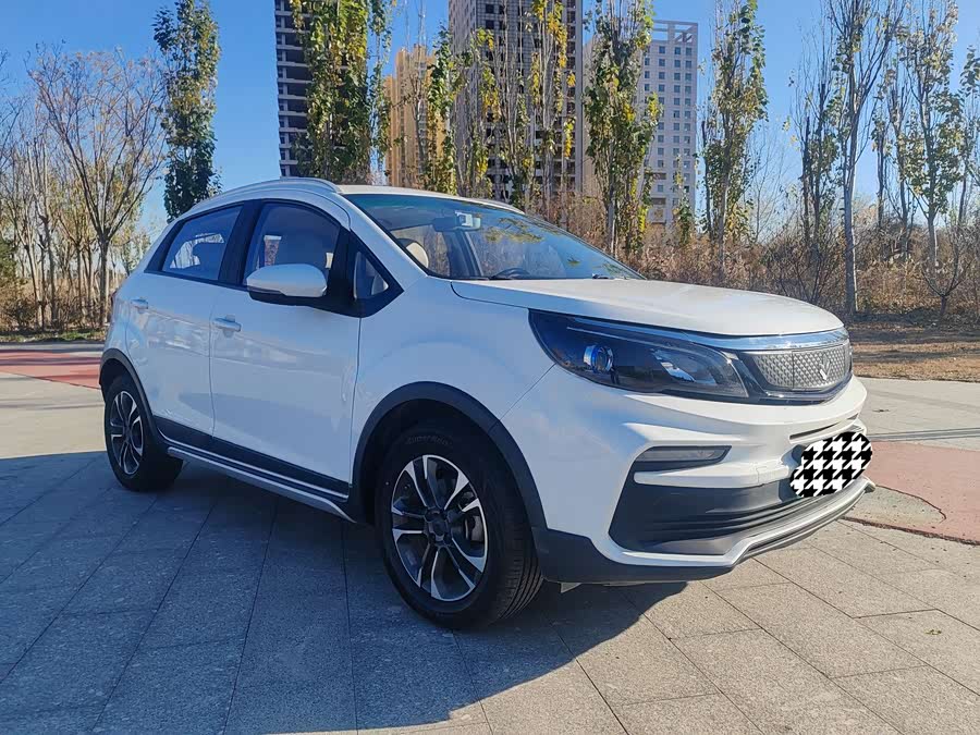 睿蓝汽车 枫叶30X 2021 汽车图片 #4