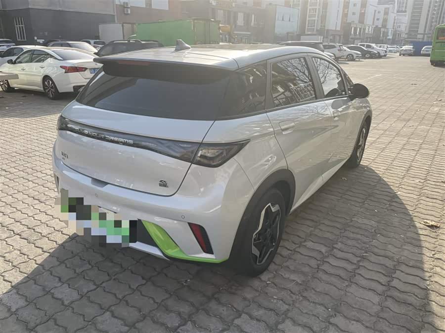 比亚迪 海豚 2021 汽车图片 #4