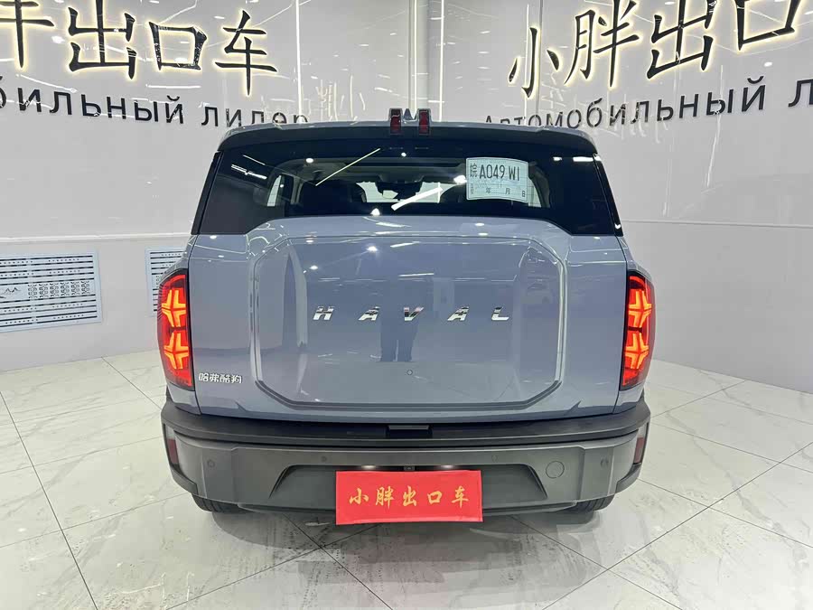 Haval Dargo 2022 car image #4