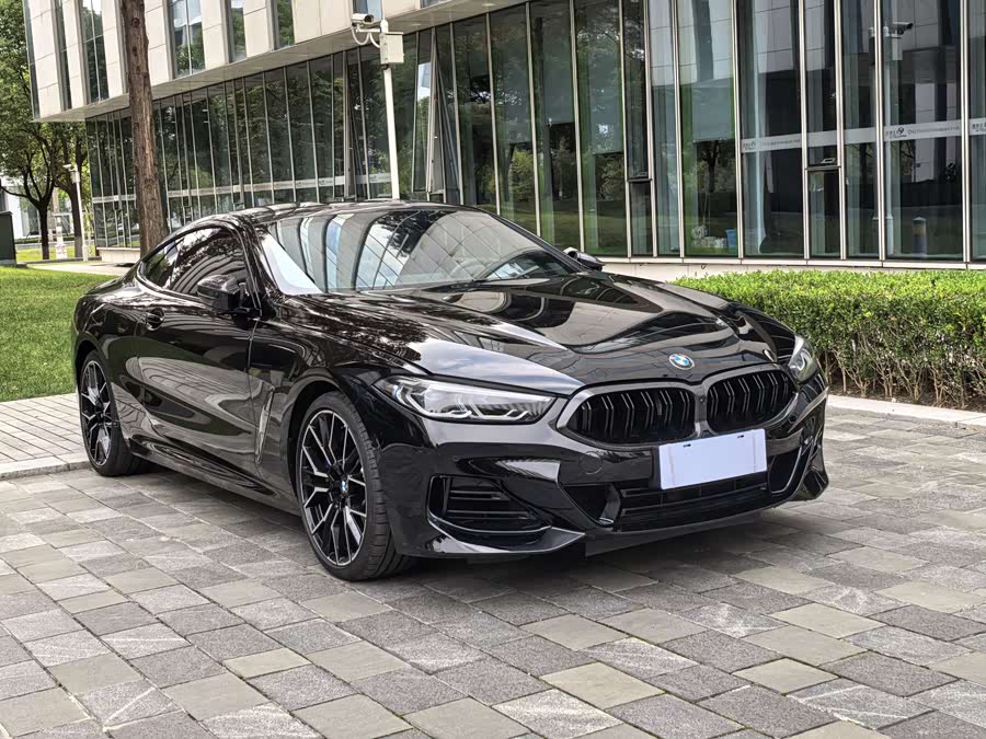 BMW 8 Series 2023 car image #4
