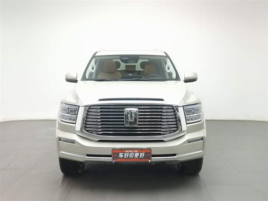 Tank 500 2022 car image #4