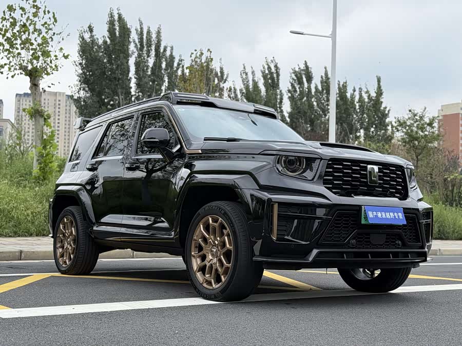 Tank 700 New Energy 2024 car image #4