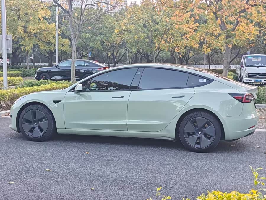 Tesla Model 3 2022 car image #4