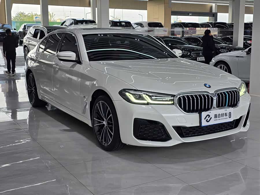 BMW 5 Series 2021 car image #4