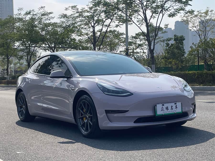 Tesla Model 3 2020 image de voiture #4