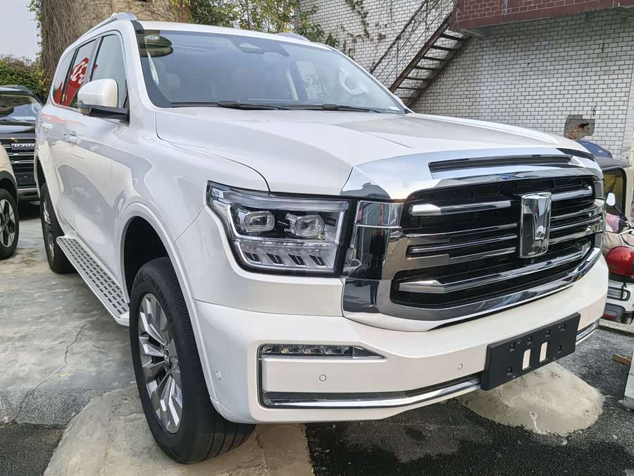 Tank 500 New Energy 2024 immagine di auto #4