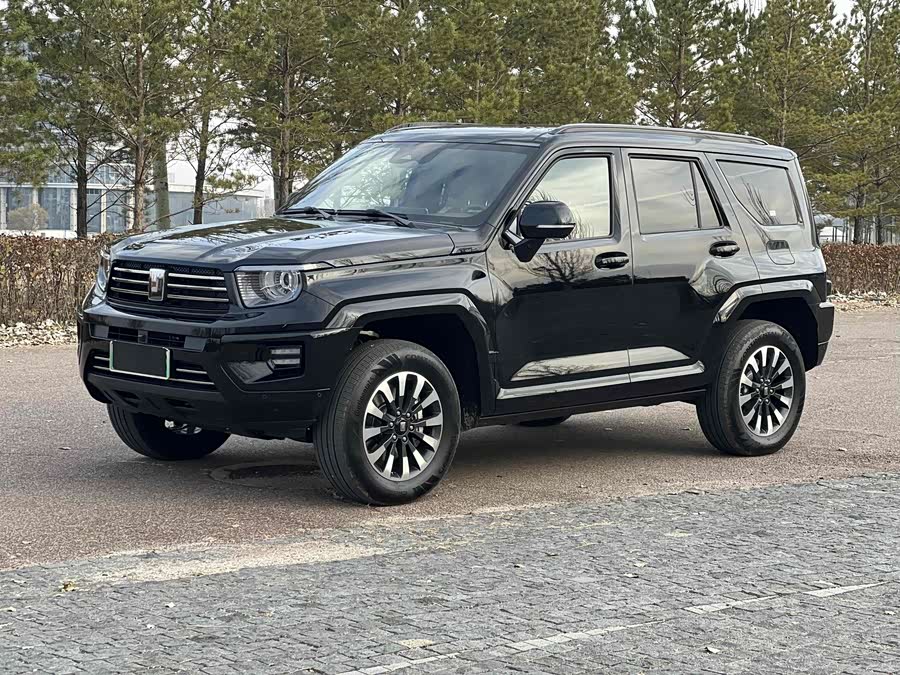 Tank 700 New Energy 2025 immagine di auto #4