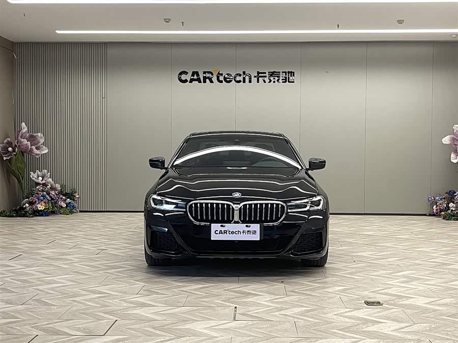 BMW 5 Series New Energy 2021 car image #4