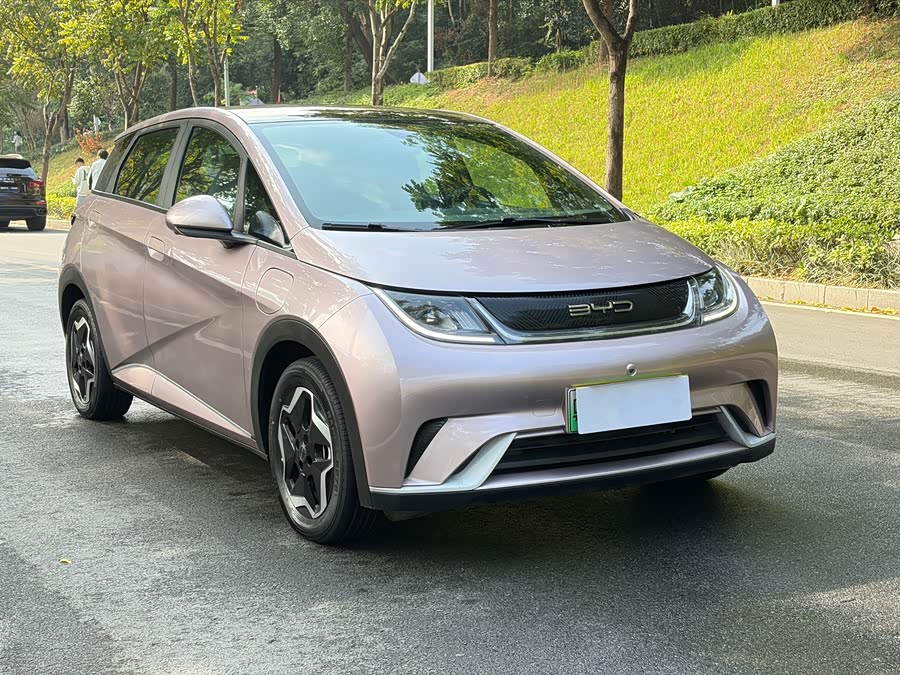 比亚迪 海豚 2022 汽车图片 #4