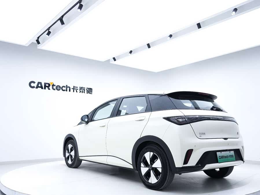 BYD Dolphin 2022 #4 BYD Dolphin 2022 immagine di auto #4