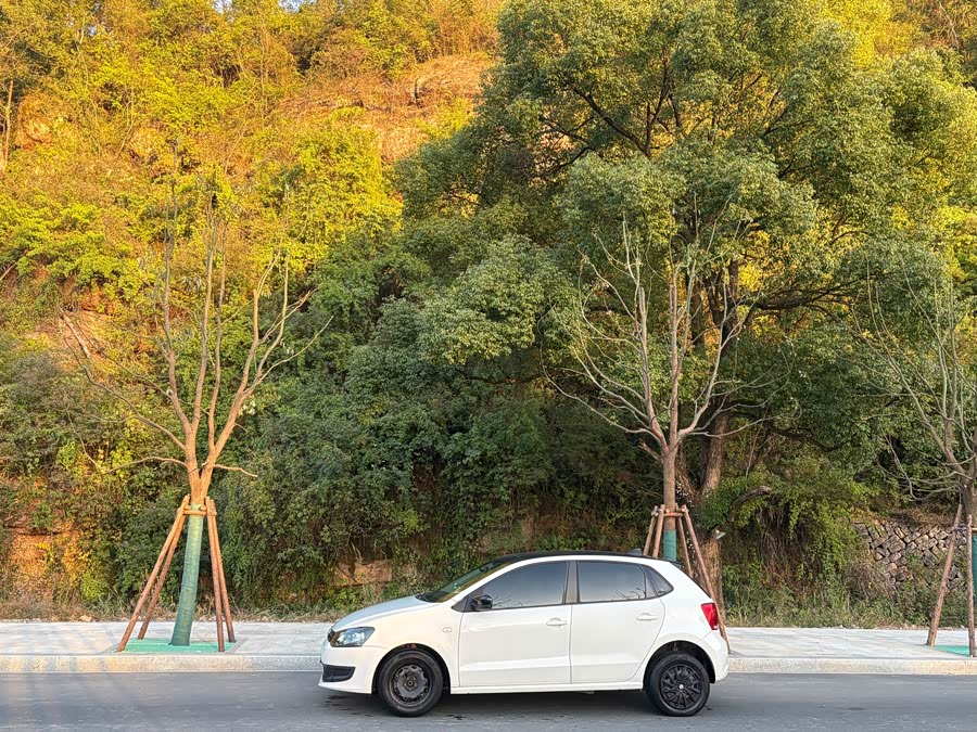 Volkswagen Polo 2014 car image #4