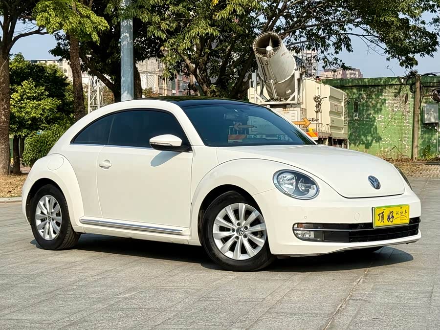 Volkswagen Beetle 2013 immagine di auto #4